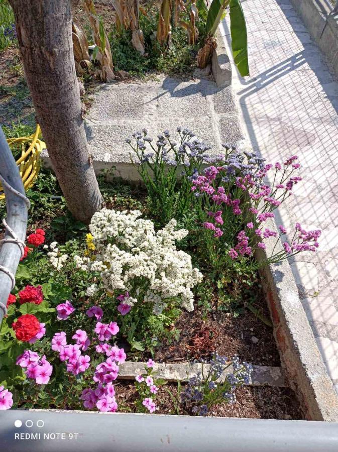 Rania'S House Daire Méthana Dış mekan fotoğraf